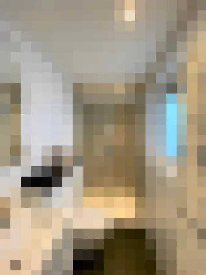 Enzerinckweg 12 Vorden thumbnail 7