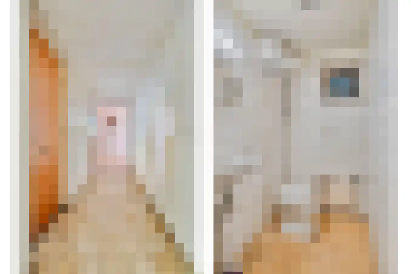 Enzerinckweg 5 Vorden thumbnail 17