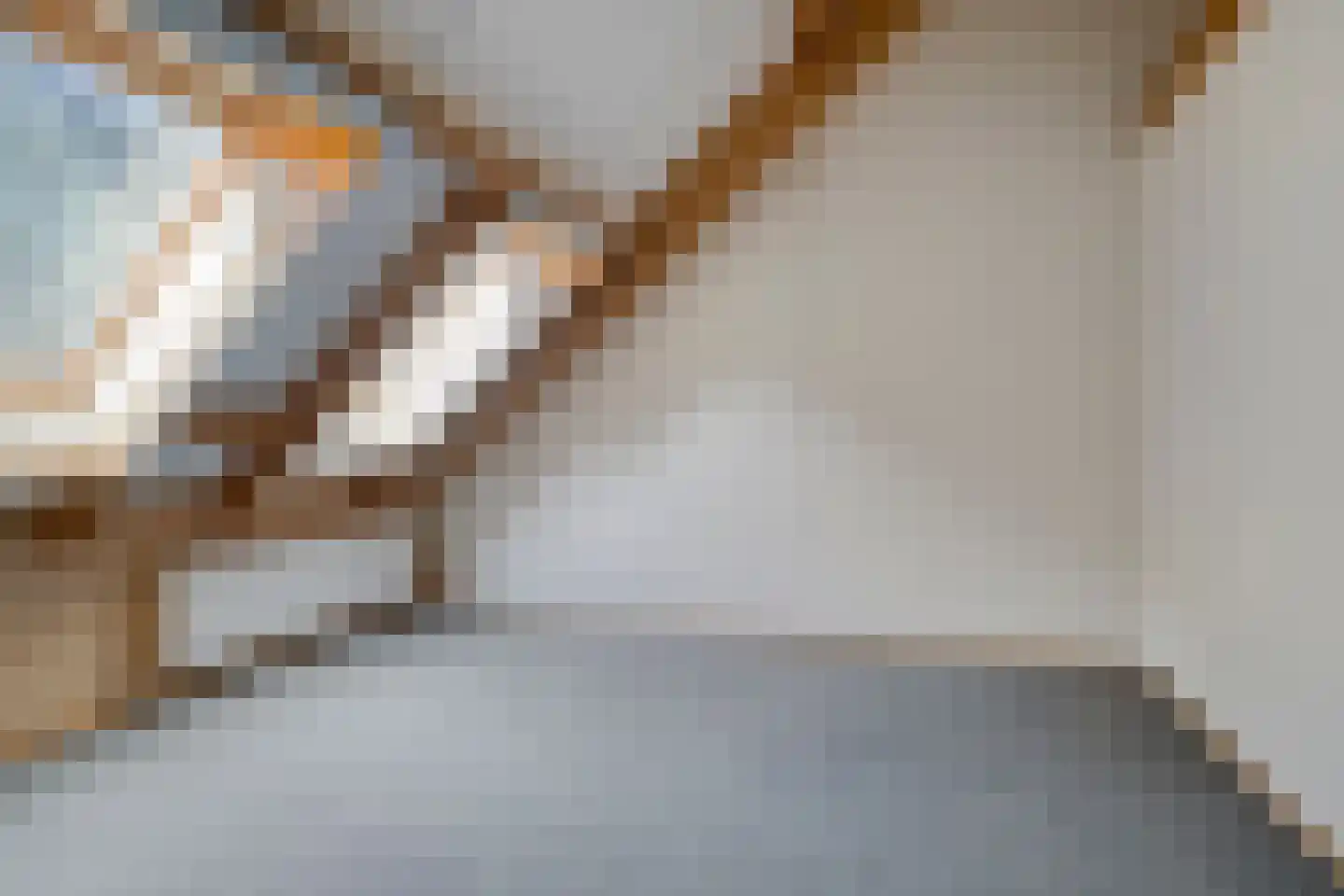 Enzerinckweg 5 Vorden thumbnail 34
