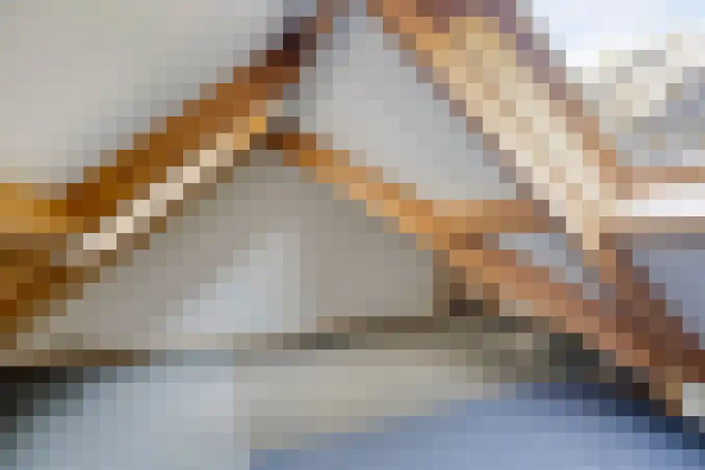 Enzerinckweg 5 Vorden thumbnail 37