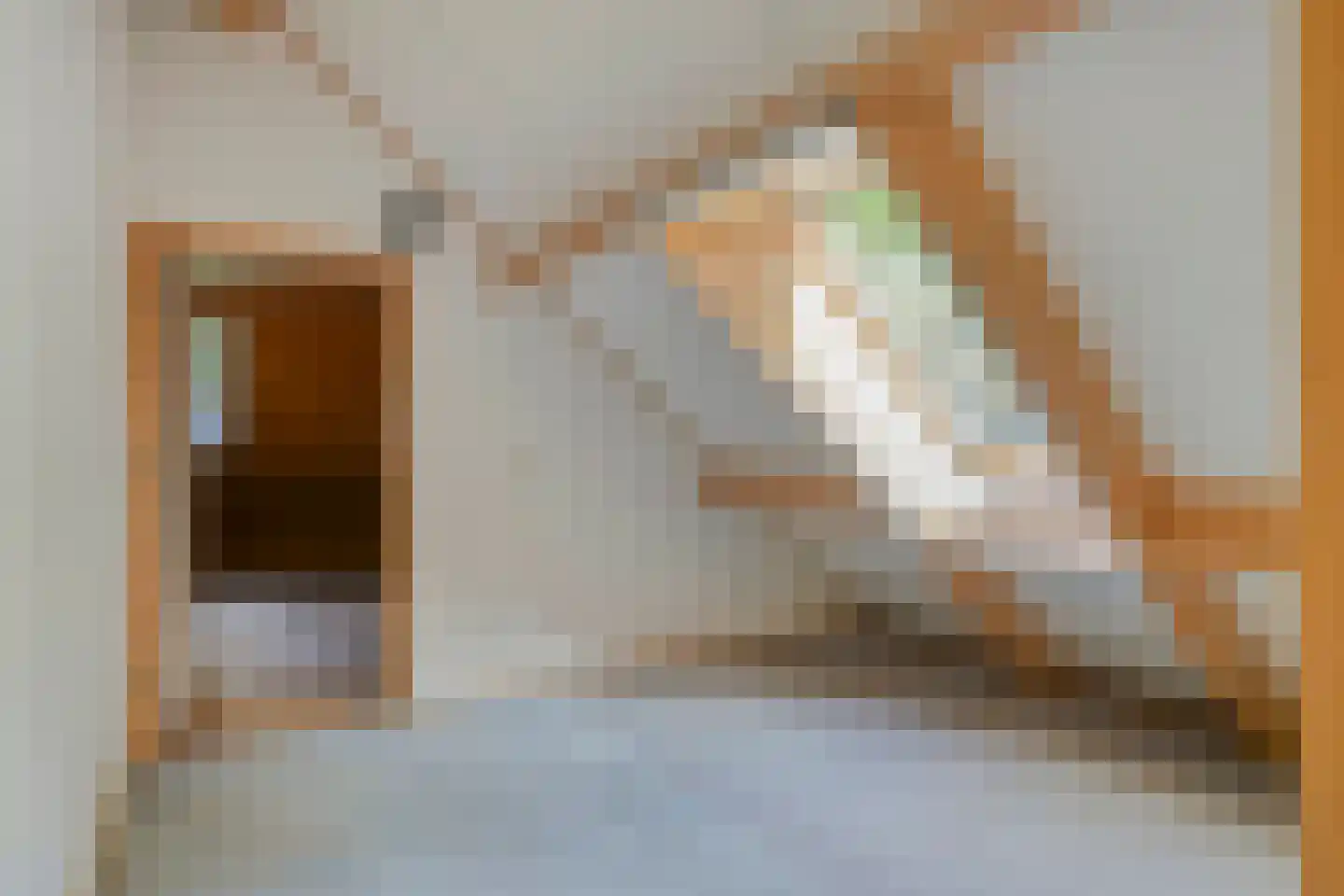 Enzerinckweg 5 Vorden thumbnail 38