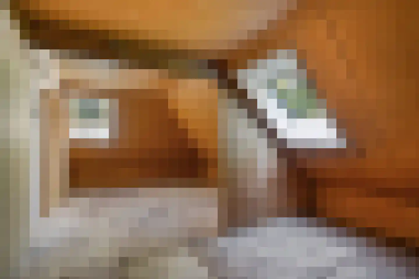 Enzerinckweg 5 Vorden thumbnail 39