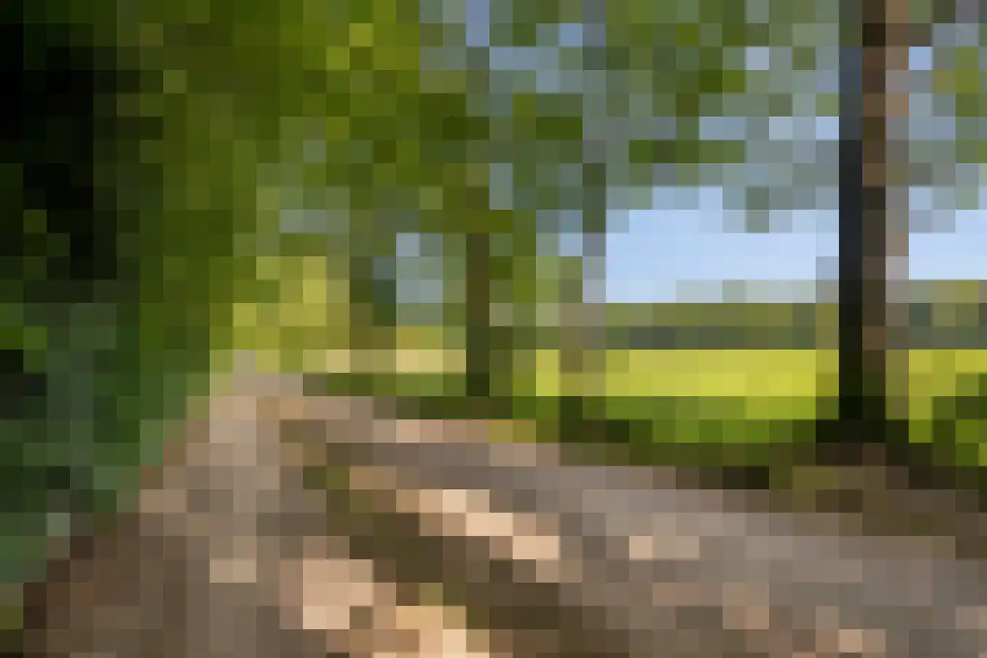 Enzerinckweg 5 Vorden thumbnail 4