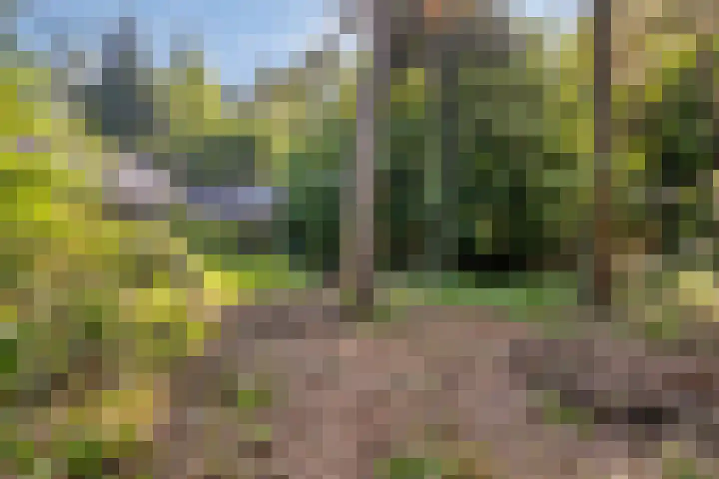 Enzerinckweg 5 Vorden thumbnail 41