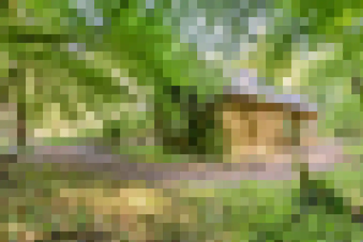 Enzerinckweg 5 Vorden thumbnail 42