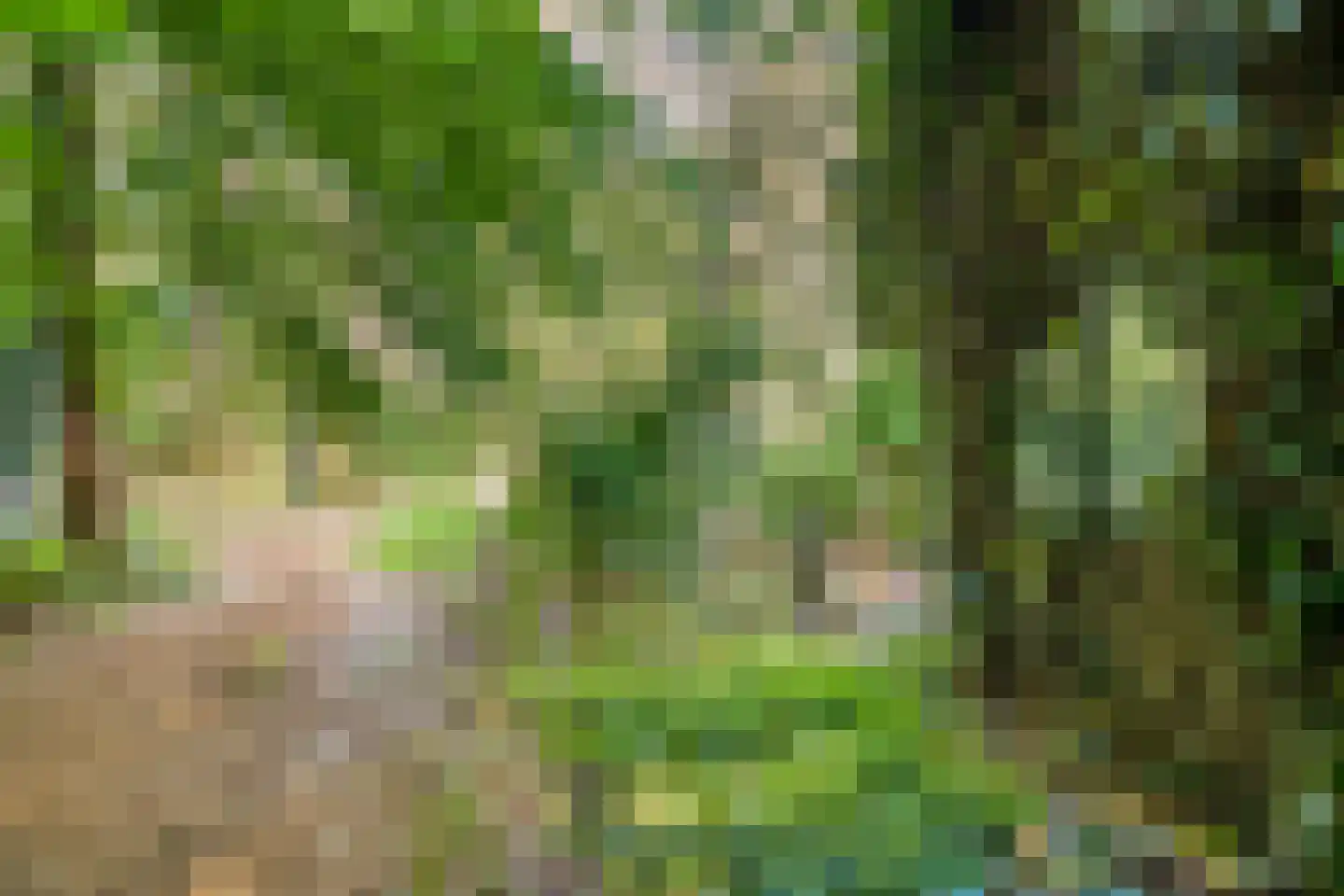 Enzerinckweg 5 Vorden thumbnail 43