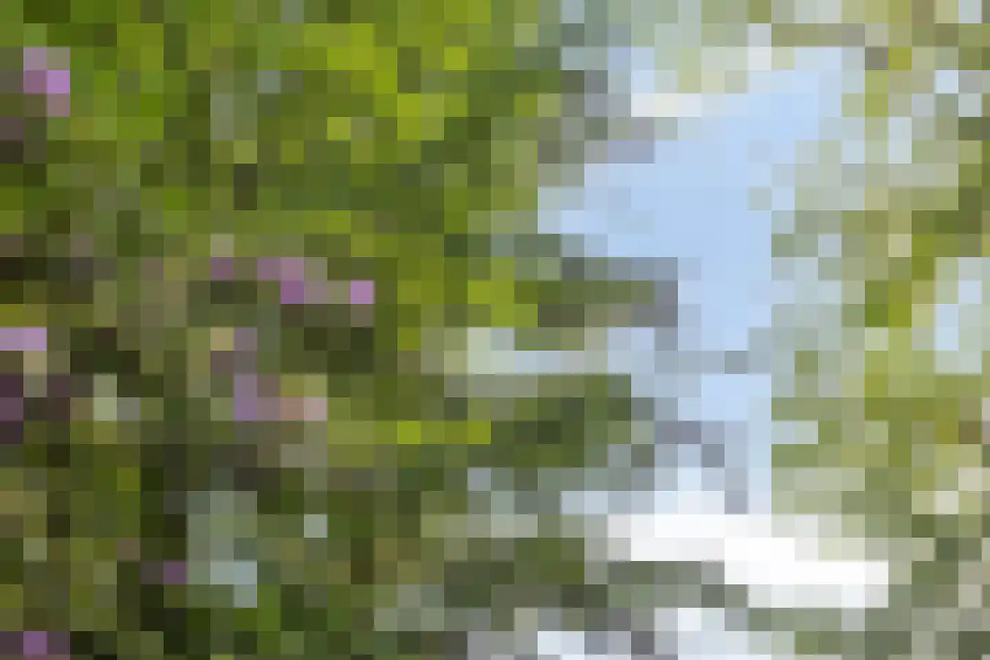 Enzerinckweg 5 Vorden thumbnail 44