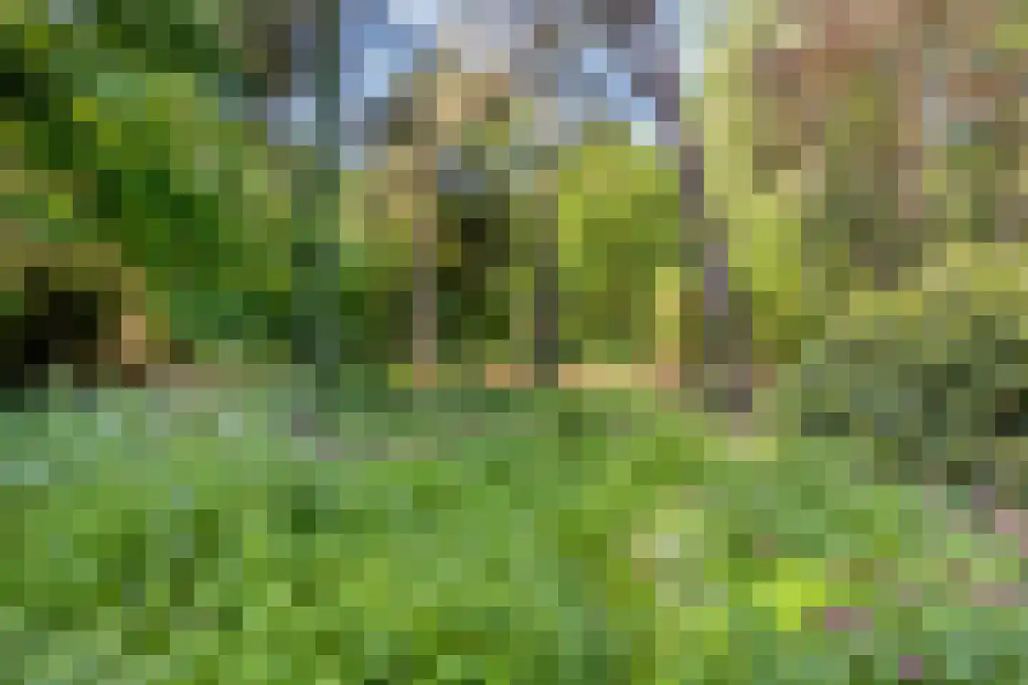 Enzerinckweg 5 Vorden thumbnail 44