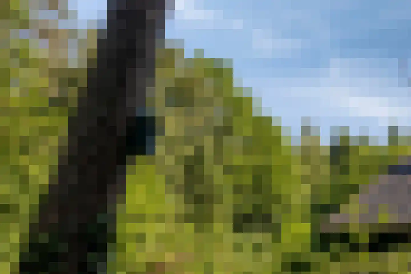 Enzerinckweg 5 Vorden thumbnail 46