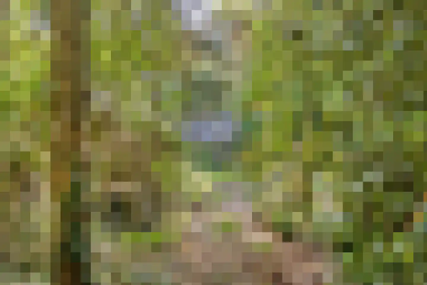 Enzerinckweg 5 Vorden thumbnail 47