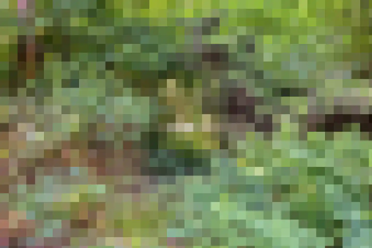 Enzerinckweg 5 Vorden thumbnail 47