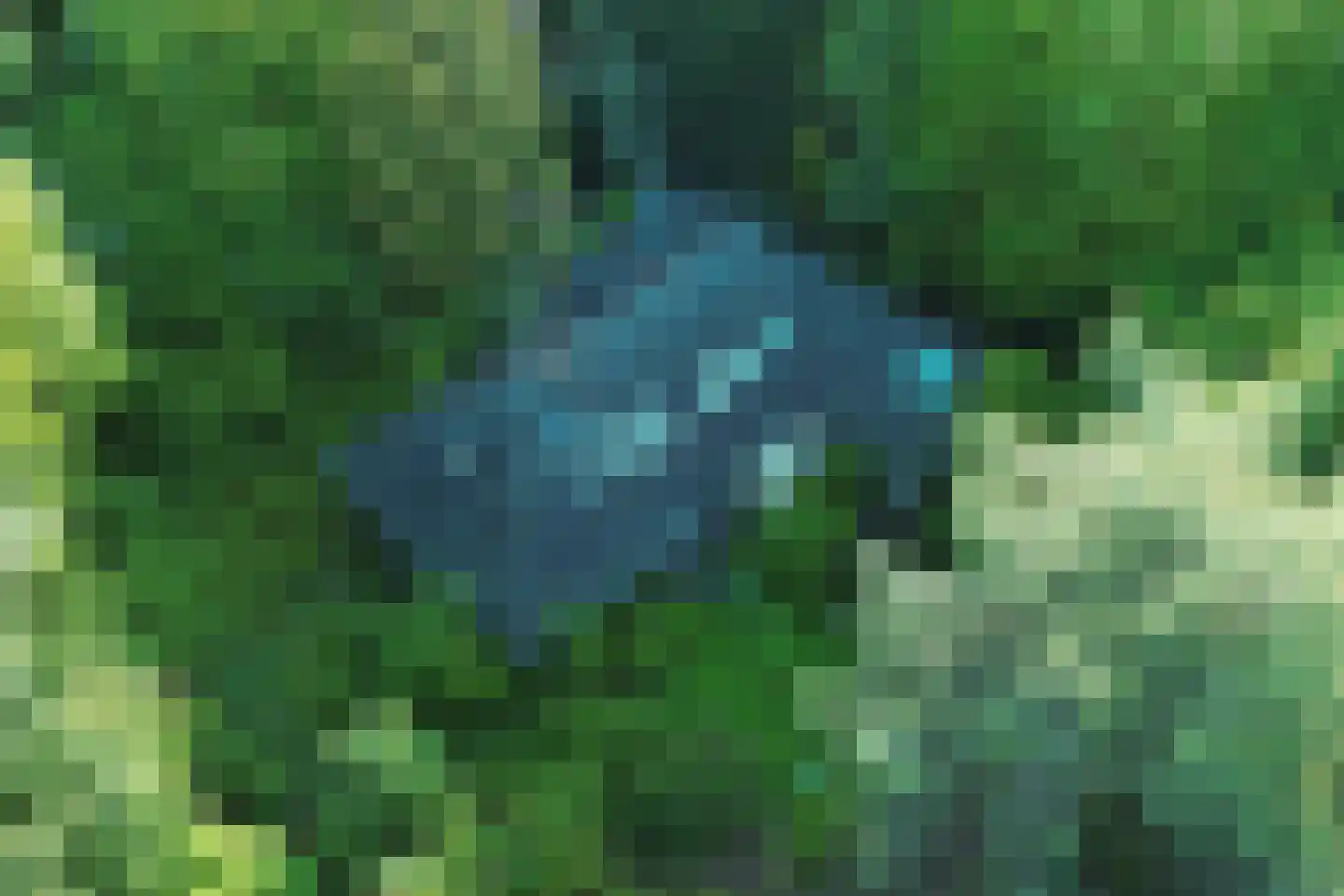 Enzerinckweg 5 Vorden thumbnail 48