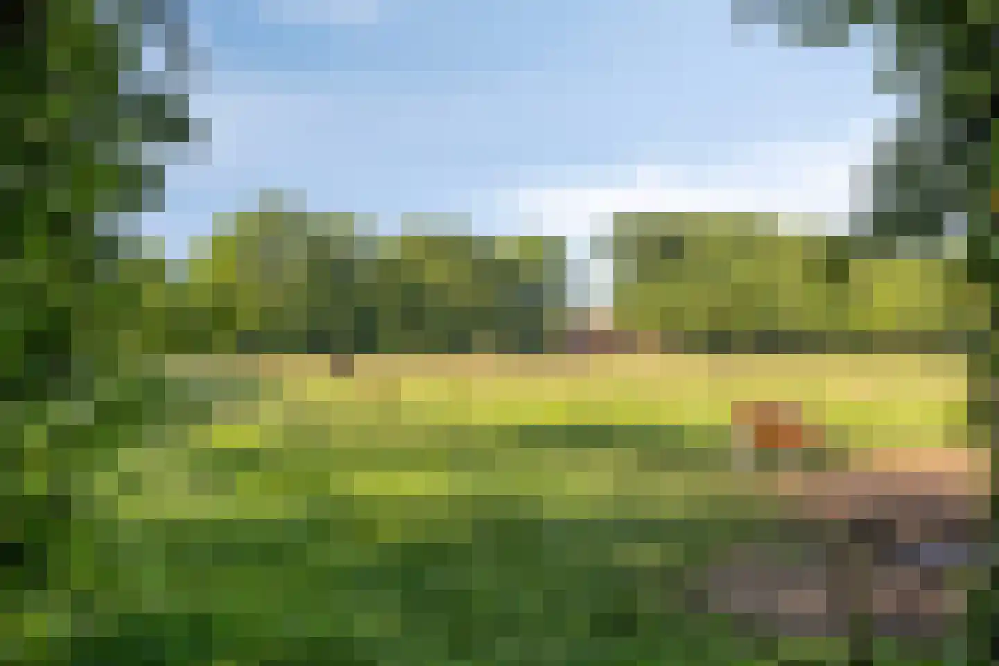 Enzerinckweg 5 Vorden thumbnail 49
