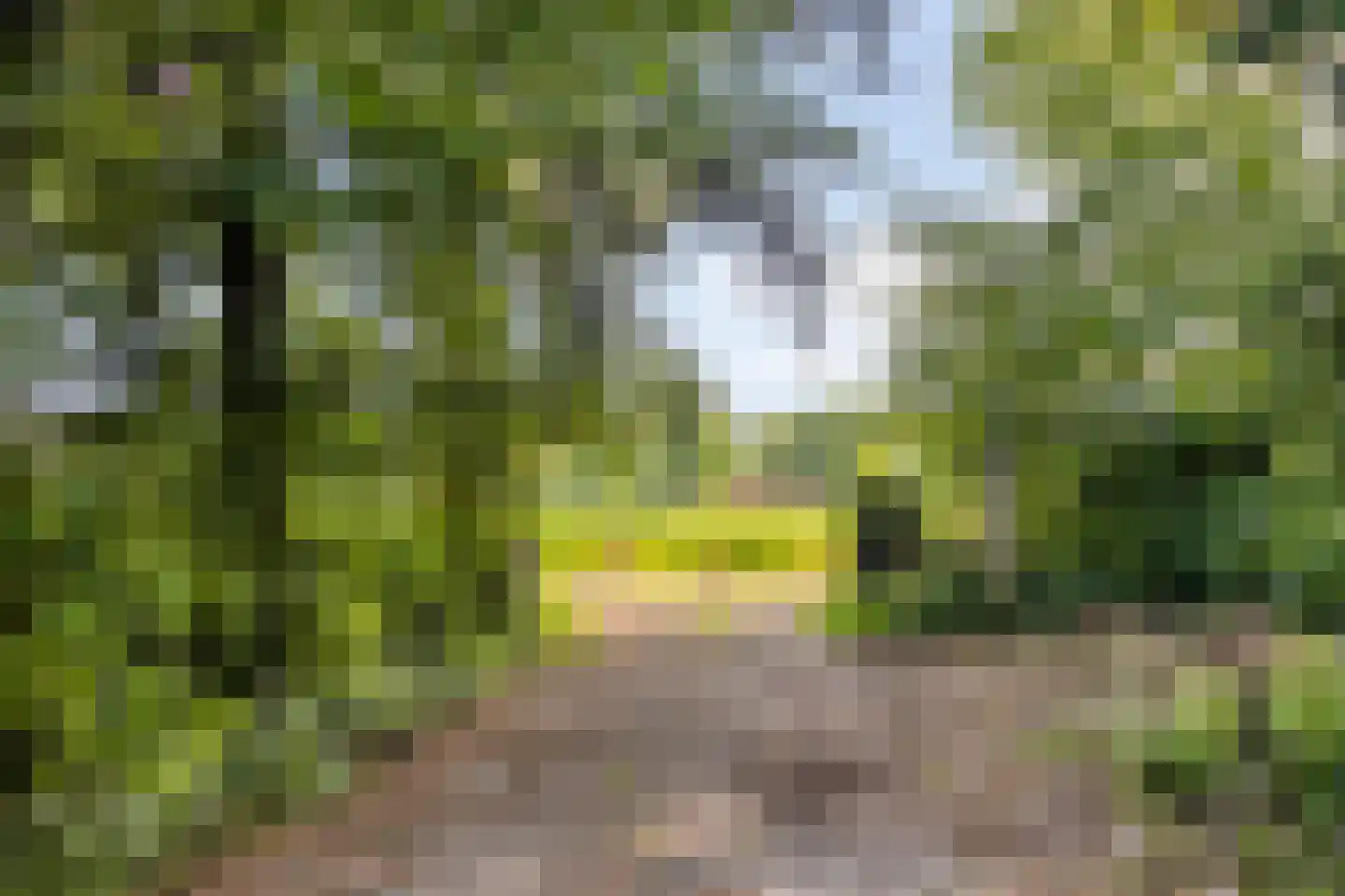 Enzerinckweg 5 Vorden thumbnail 5