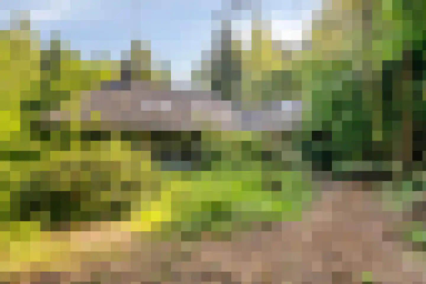 Enzerinckweg 5 Vorden thumbnail 8