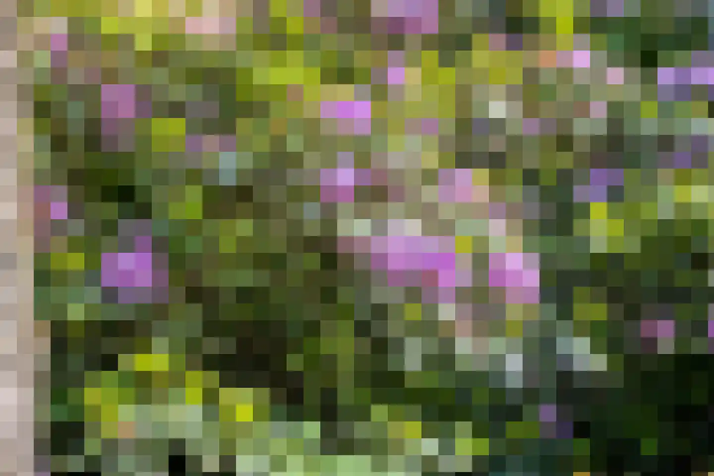 Enzerinckweg 5 Vorden thumbnail 9