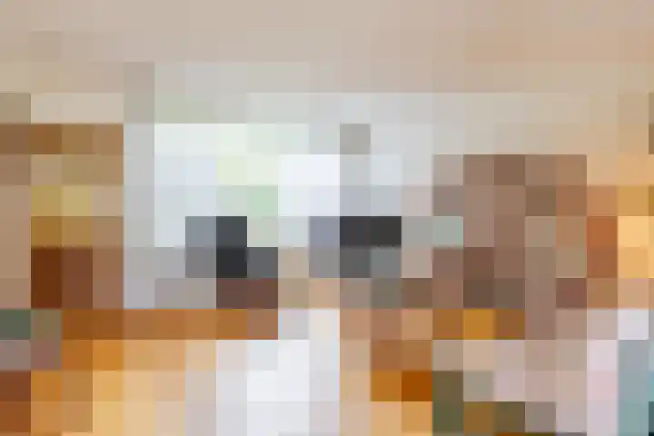 Enzerink 15 Eindhoven thumbnail 10