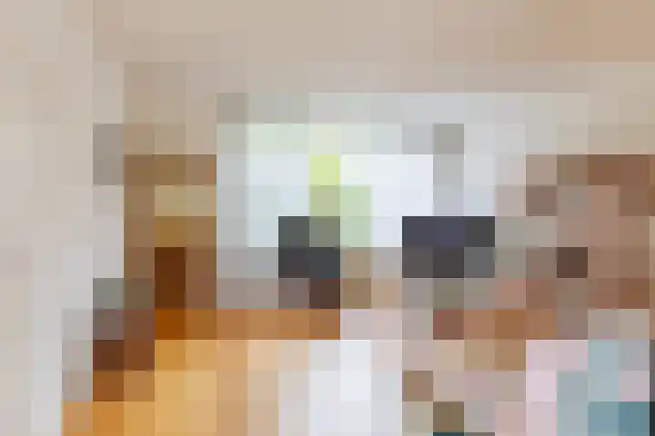 Enzerink 15 Eindhoven thumbnail 12