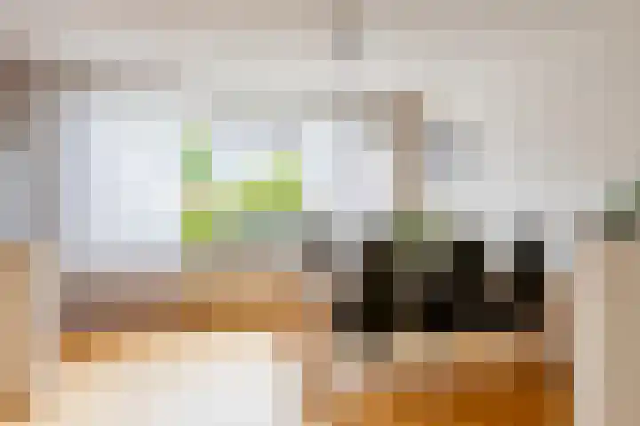 Enzerink 15 Eindhoven thumbnail 14