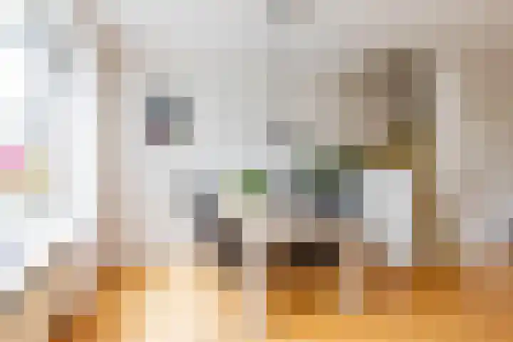Enzerink 15 Eindhoven thumbnail 15