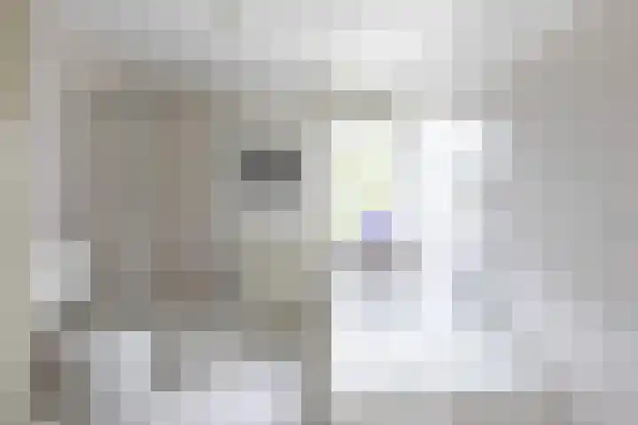Enzerink 15 Eindhoven thumbnail 22