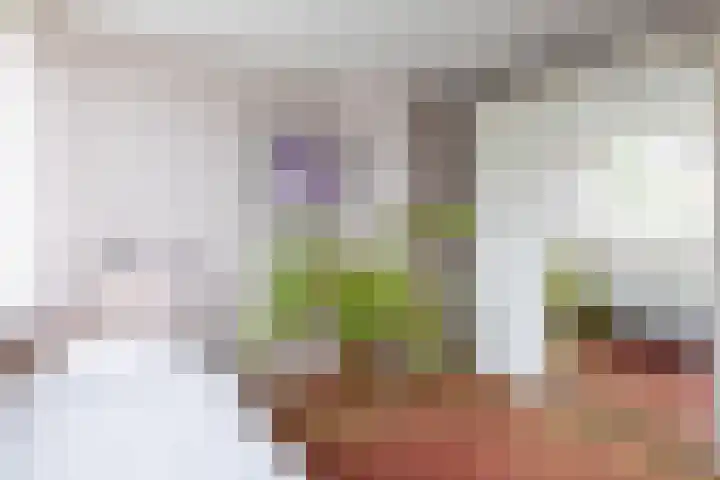 Enzerink 15 Eindhoven thumbnail 29