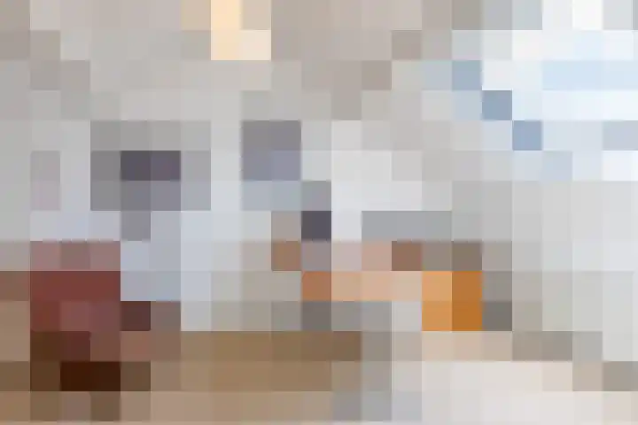 Enzerink 15 Eindhoven thumbnail 31