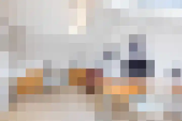 Enzerink 15 Eindhoven thumbnail 33