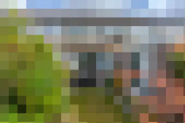 Enzerink 15 Eindhoven thumbnail 34