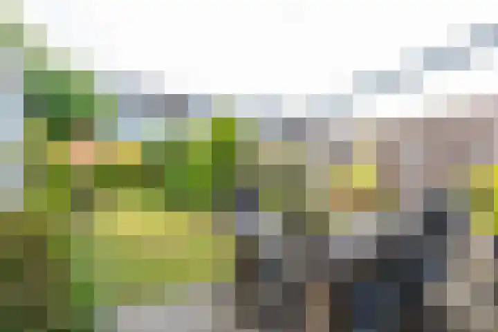 Enzerink 15 Eindhoven thumbnail 35