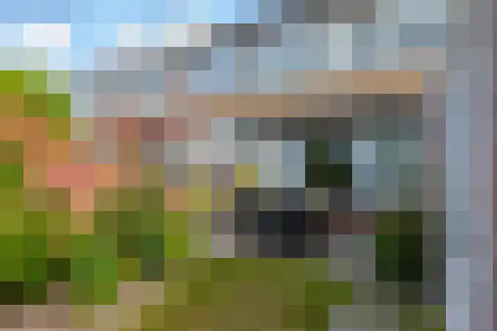 Enzerink 15 Eindhoven thumbnail 36