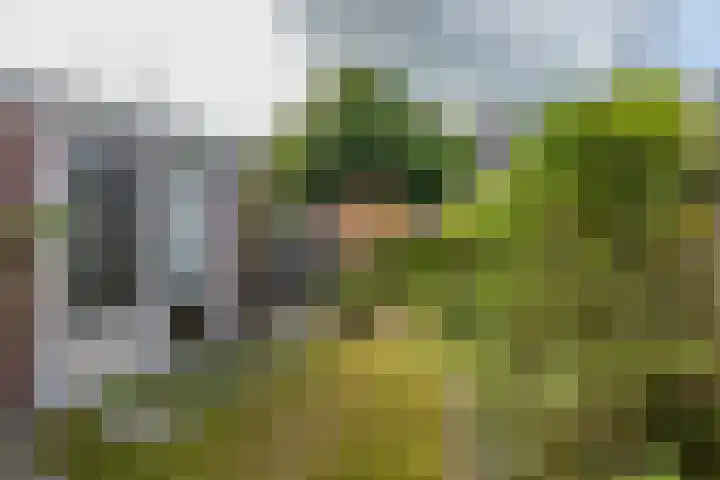 Enzerink 15 Eindhoven thumbnail 37