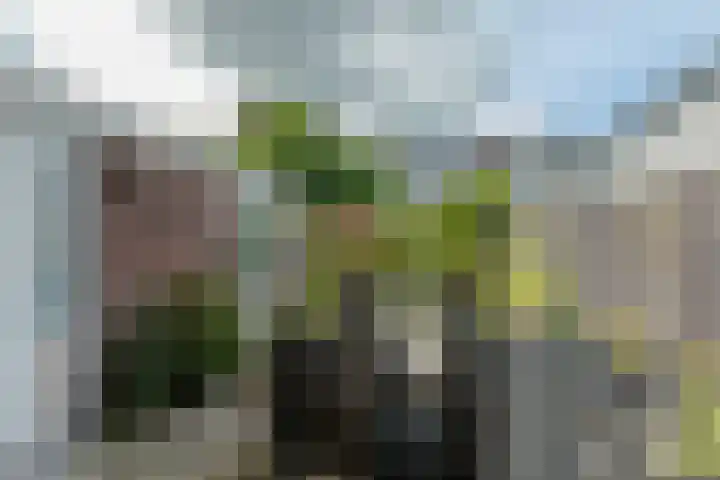 Enzerink 15 Eindhoven thumbnail 38