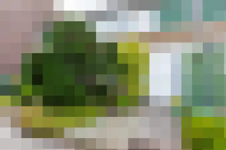Enzerink 15 Eindhoven thumbnail 39
