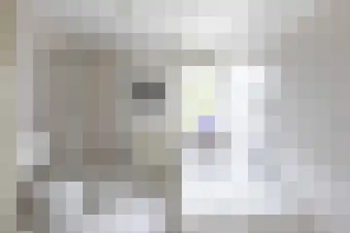 Enzerink 15 Eindhoven thumbnail 4