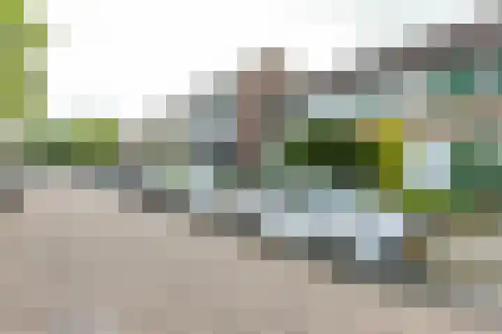 Enzerink 15 Eindhoven thumbnail 40