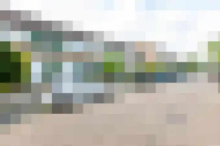 Enzerink 15 Eindhoven thumbnail 41