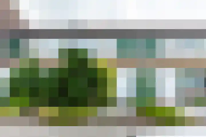 Enzerink 15 Eindhoven thumbnail 45