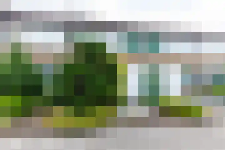 Enzerink 15 Eindhoven thumbnail 6
