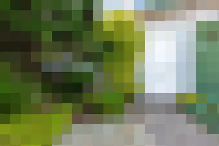 Enzerink 15 Eindhoven thumbnail 7