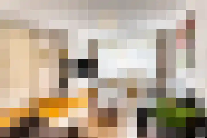 Enzerink 25 Eindhoven thumbnail 12