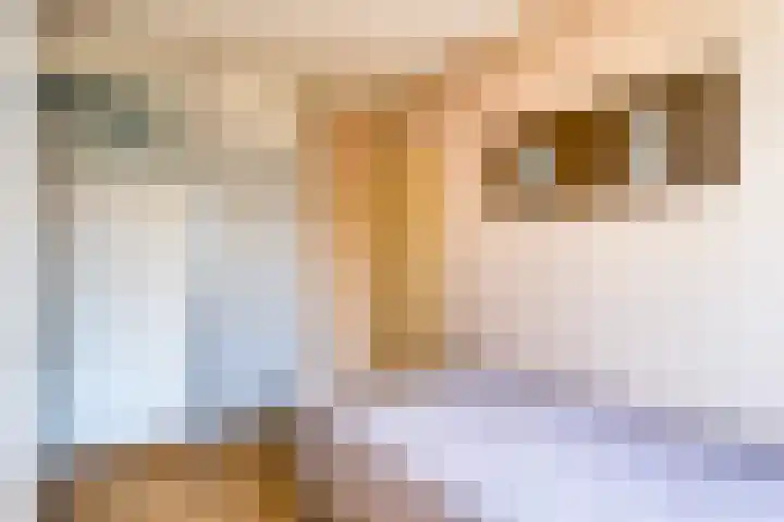 Enzerink 25 Eindhoven thumbnail 25