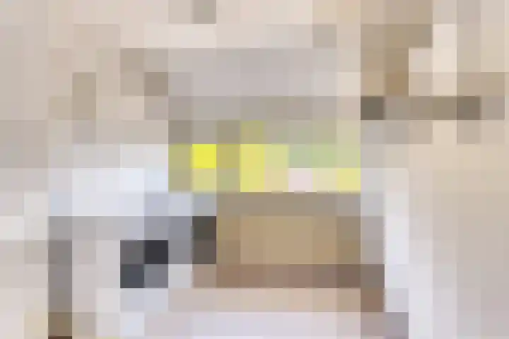 Enzerink 25 Eindhoven thumbnail 30