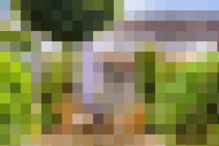 Enzerink 25 Eindhoven thumbnail 33