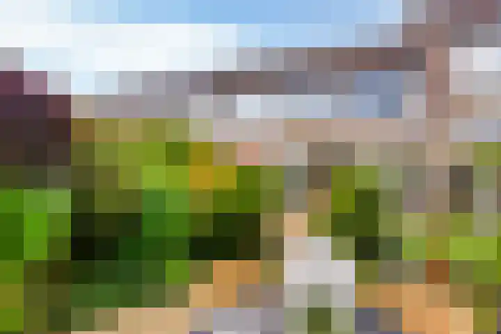 Enzerink 25 Eindhoven thumbnail 35