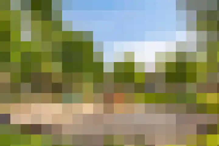 Enzerink 25 Eindhoven thumbnail 40