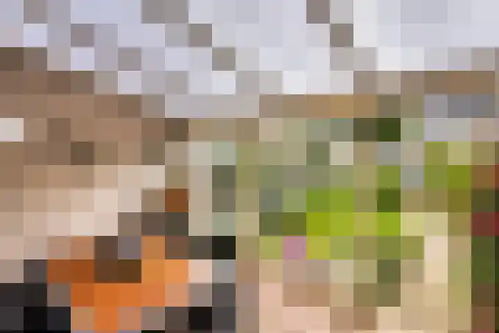 Enzerink 25 Eindhoven thumbnail 6