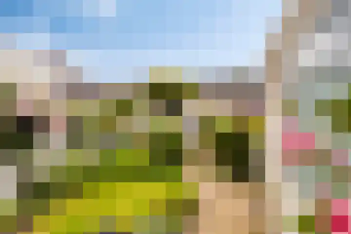 Enzerink 25 Eindhoven thumbnail 7