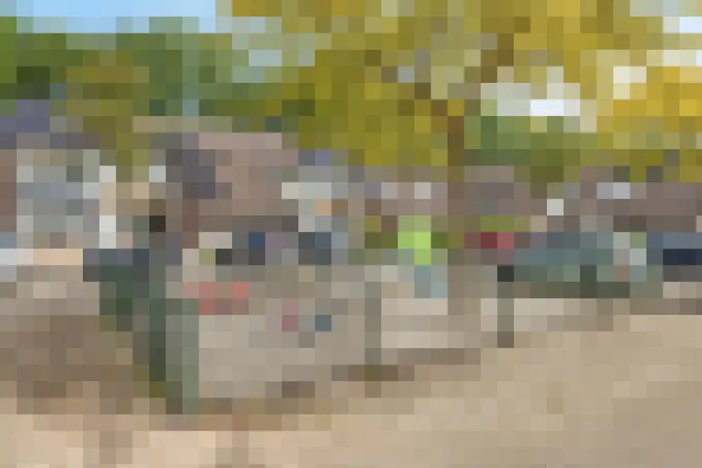 Enzerink 29 Eindhoven thumbnail 34
