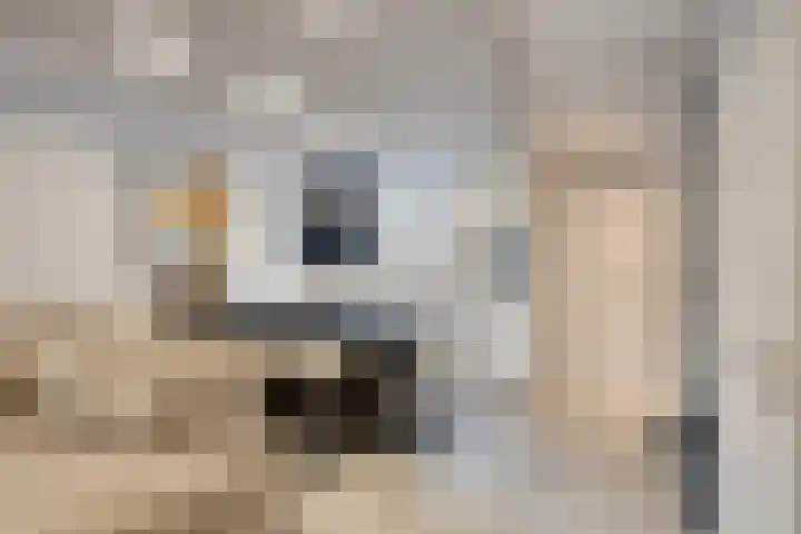 Eoceenstraat 2 Heerlen thumbnail 6